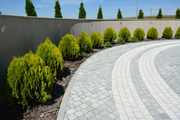 Best Commercial Driveway Pavers  in Warrenton, MO